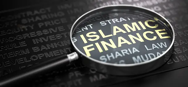 Islamic Microfinance: A Solution to Financial Inclusion in Northern Nigeria 